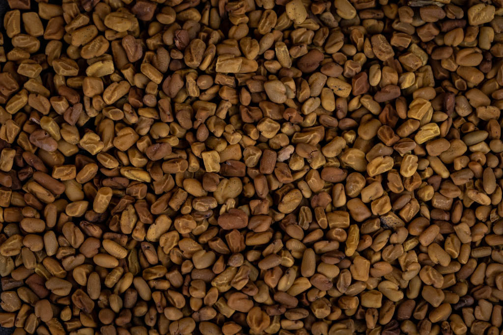Fenugreek